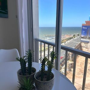 Apartamento de 1 Dormitorio